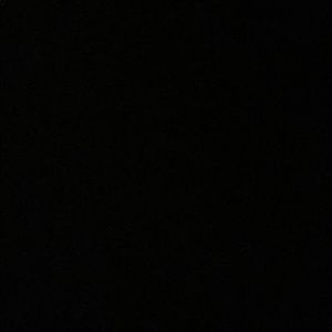 Meet your Posher, Priya